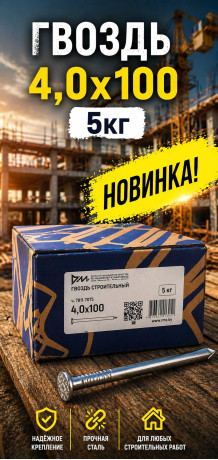 Гвоздь 4х100 5кг (5/1000) (арт.4371011367)
